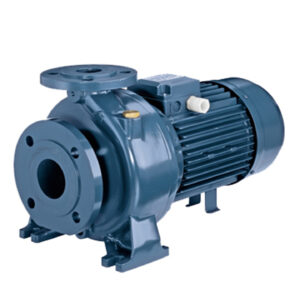 3d Series Normalised And Monoblock Centrifugal Electro Pumps
