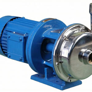 Stub Shaft Monobloc SS Pumps